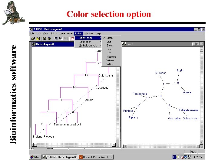 Bioinformatics software Color selection option 