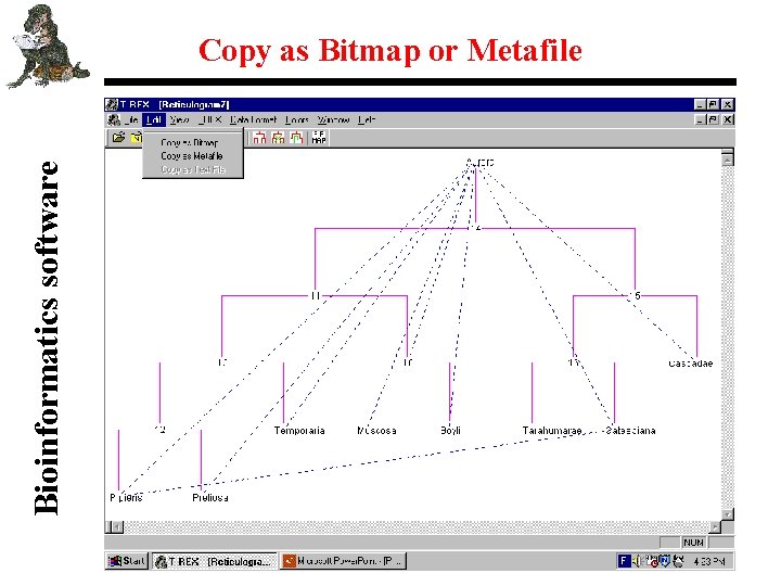 Bioinformatics software Copy as Bitmap or Metafile 