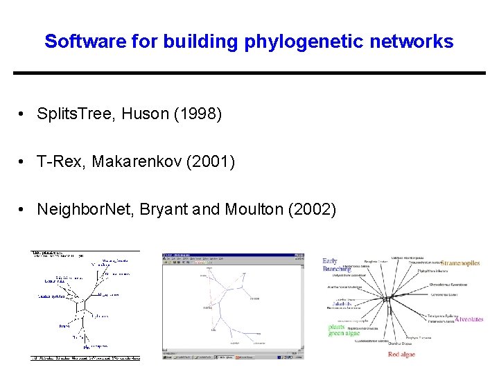 Software for building phylogenetic networks • Splits. Tree, Huson (1998) • T-Rex, Makarenkov (2001)