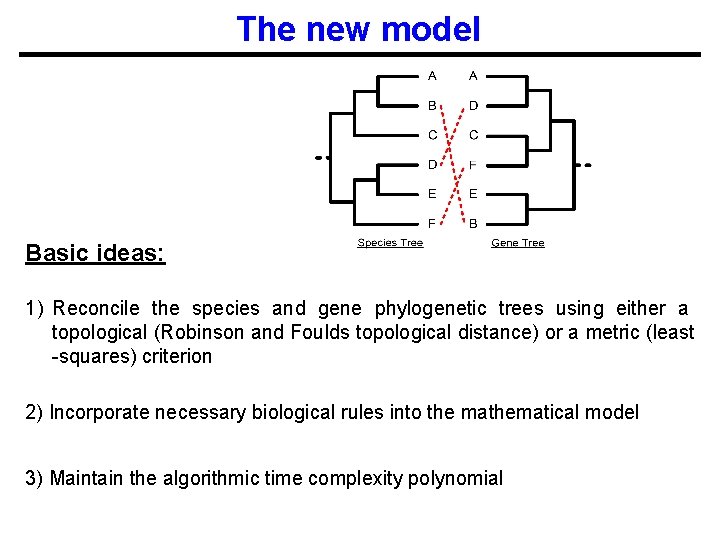 The new model Basic ideas: 1) Reconcile the species and gene phylogenetic trees using