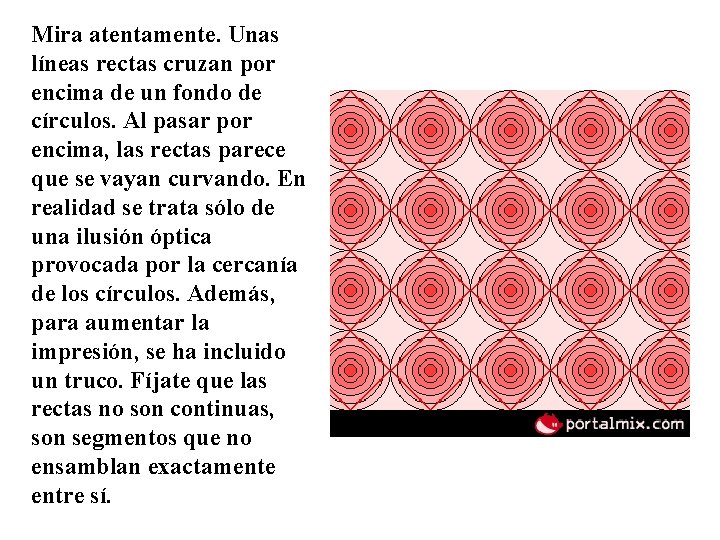 Mira atentamente. Unas líneas rectas cruzan por encima de un fondo de círculos. Al