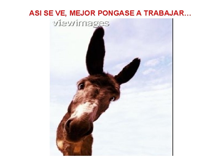 ASI SE VE, MEJOR PONGASE A TRABAJAR… 