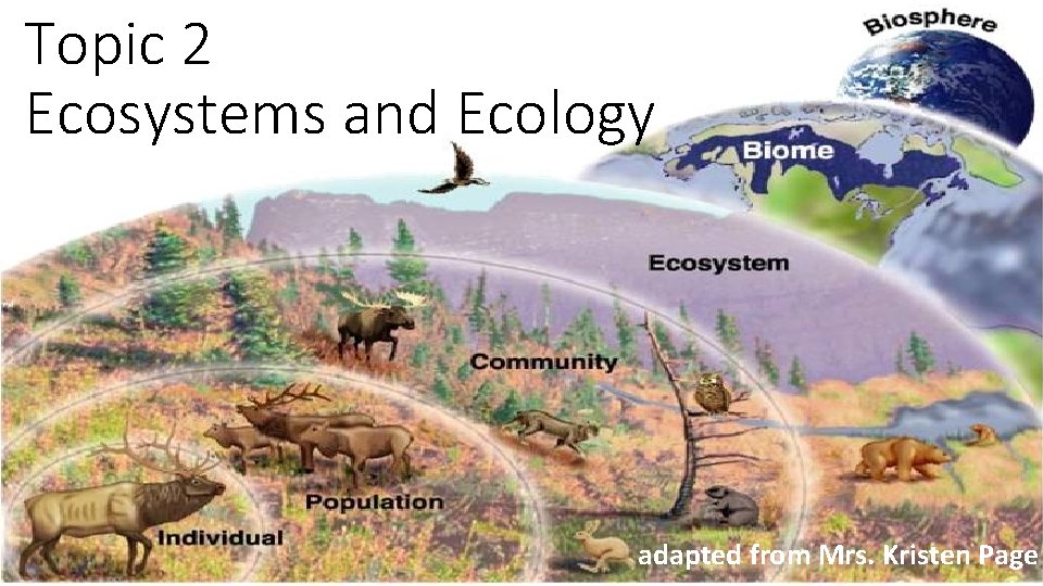 Topic 2 Ecosystems and Ecology adapted from Mrs. Kristen Page 