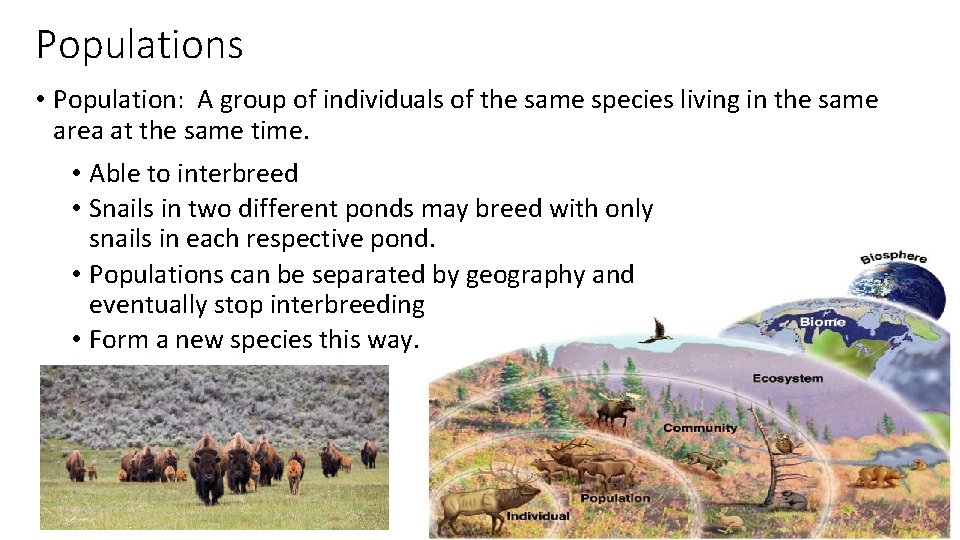 Populations • Population: A group of individuals of the same species living in the