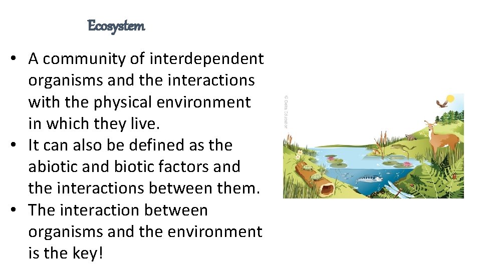 Ecosystem • A community of interdependent organisms and the interactions with the physical environment