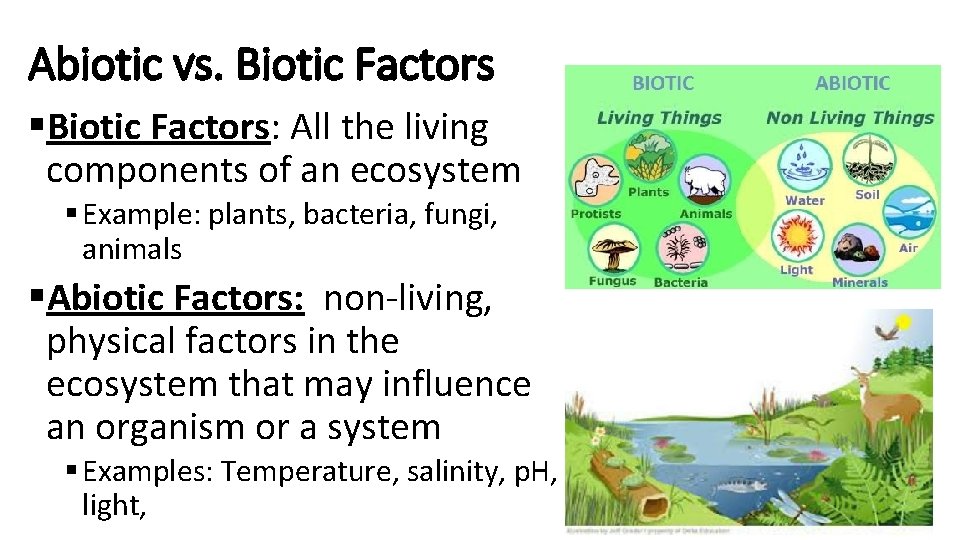 Abiotic vs. Biotic Factors §Biotic Factors: All the living components of an ecosystem §