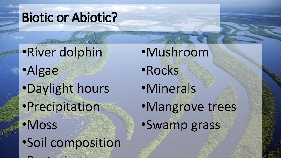 Biotic or Abiotic? • River dolphin • Algae • Daylight hours • Precipitation •
