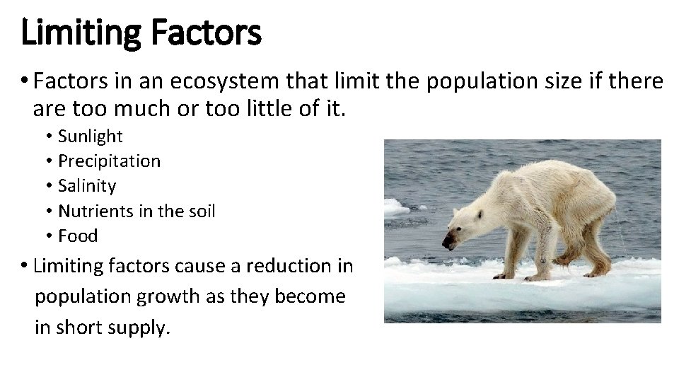 Limiting Factors • Factors in an ecosystem that limit the population size if there