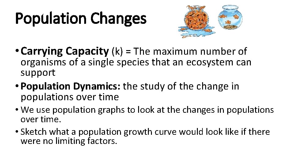 Population Changes • Carrying Capacity (k) = The maximum number of organisms of a