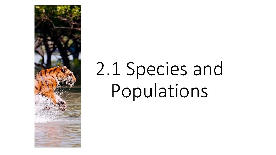 2. 1 Species and Populations 