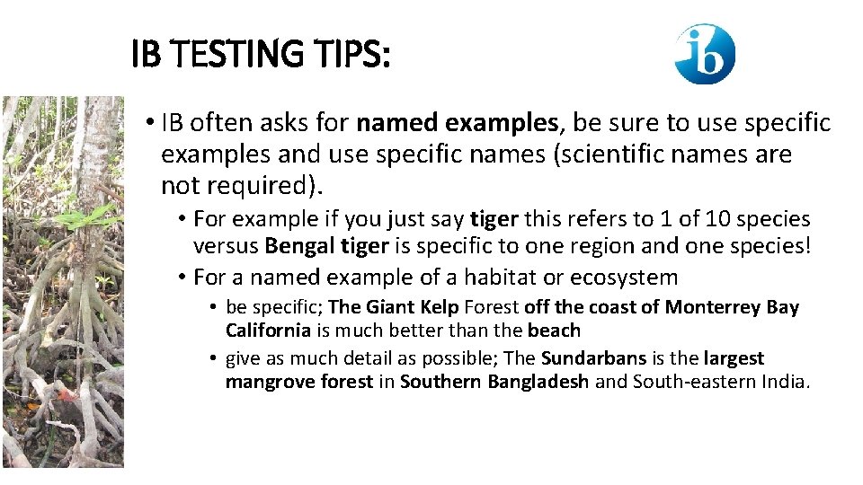IB TESTING TIPS: • IB often asks for named examples, be sure to use