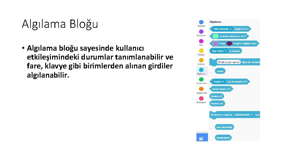 Algılama Bloğu • Algılama bloğu sayesinde kullanıcı etkileşimindeki durumlar tanımlanabilir ve fare, klavye gibi