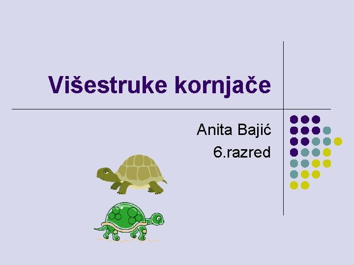 Višestruke kornjače Anita Bajić 6. razred 