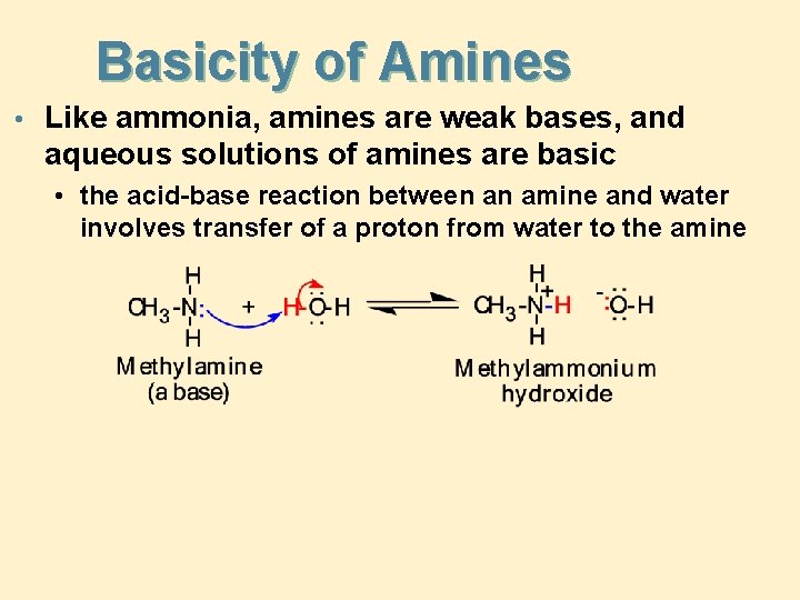 Basicity of Amines • Like ammonia, amines are weak bases, and aqueous solutions of