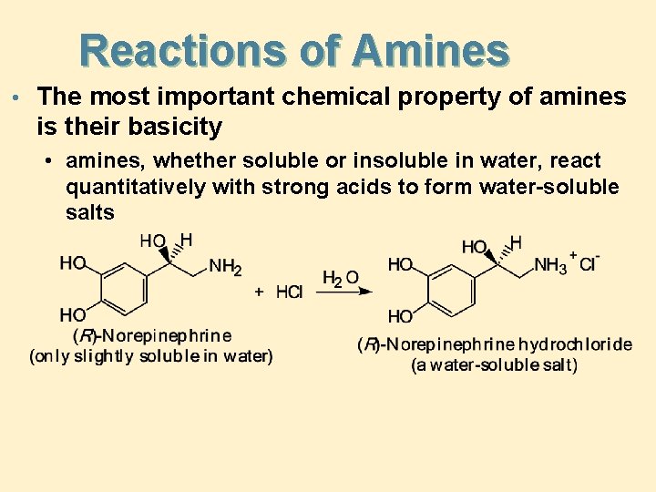 Reactions of Amines • The most important chemical property of amines is their basicity