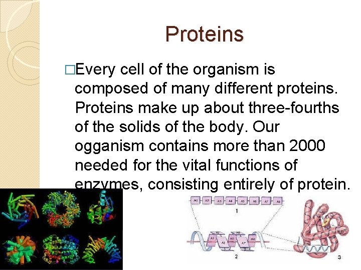 Proteins �Every cell of the organism is composed of many different proteins. Proteins make