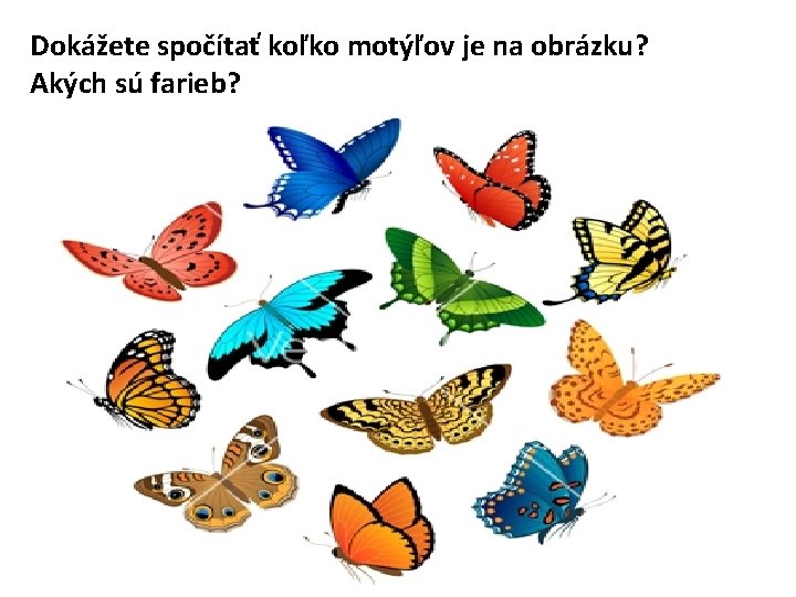 Dokážete spočítať koľko motýľov je na obrázku? Akých sú farieb? 