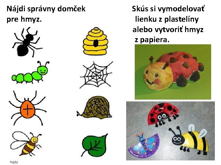 Nájdi správny domček pre hmyz. Skús si vymodelovať lienku z plastelíny alebo vytvoriť hmyz