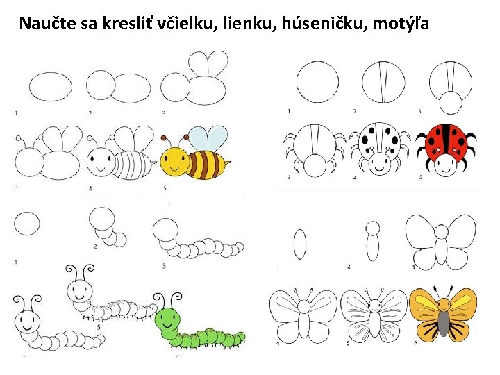 Naučte sa kresliť včielku, lienku, húseničku, motýľa 