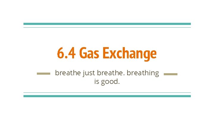 6. 4 Gas Exchange breathe just breathe. breathing is good. 