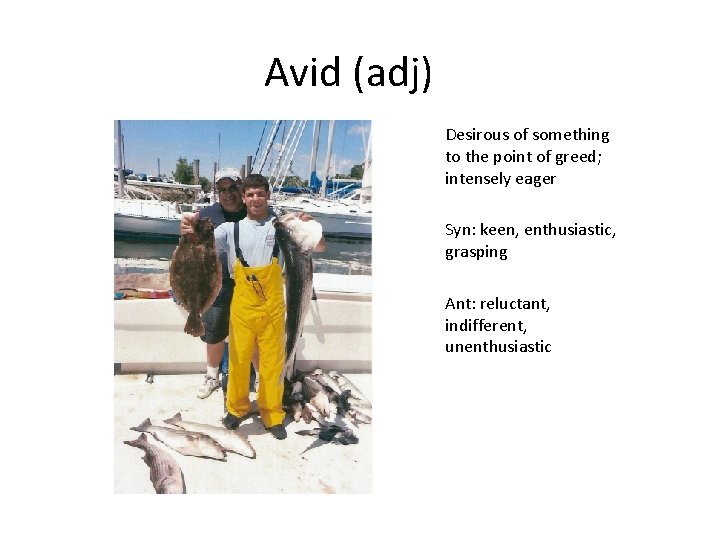 Avid (adj) Desirous of something to the point of greed; intensely eager Syn: keen,