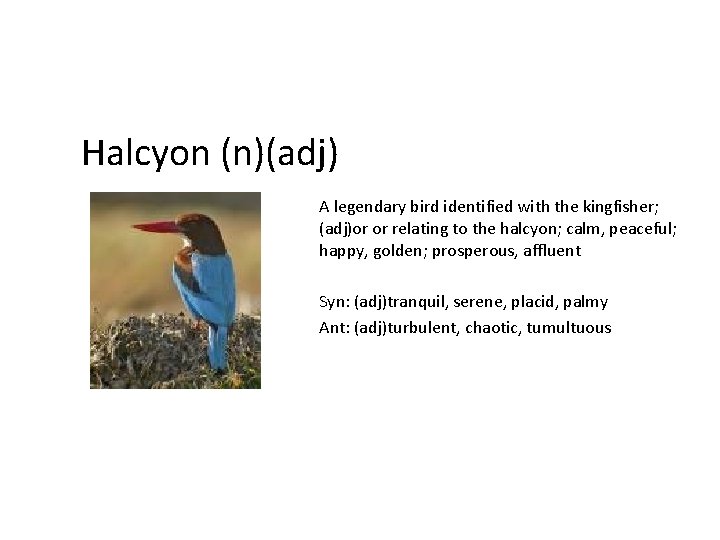 Halcyon (n)(adj) A legendary bird identified with the kingfisher; (adj)or or relating to the