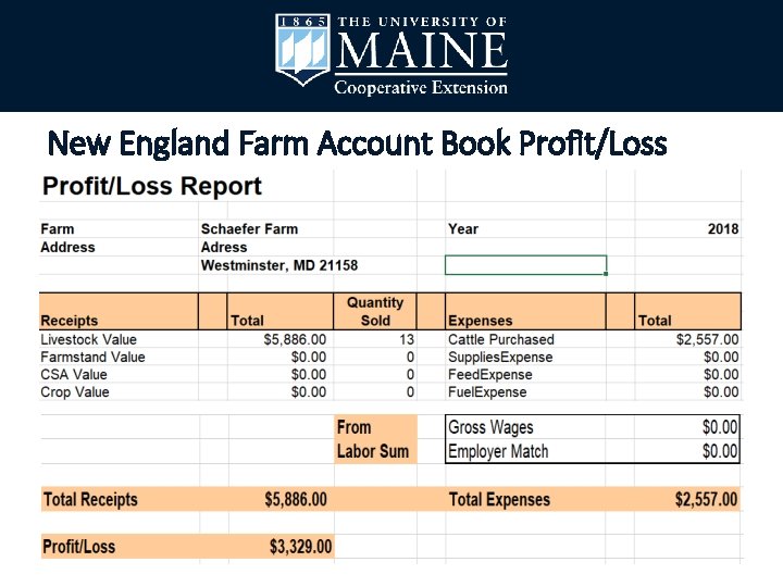New England Farm Account Book Profit/Loss 