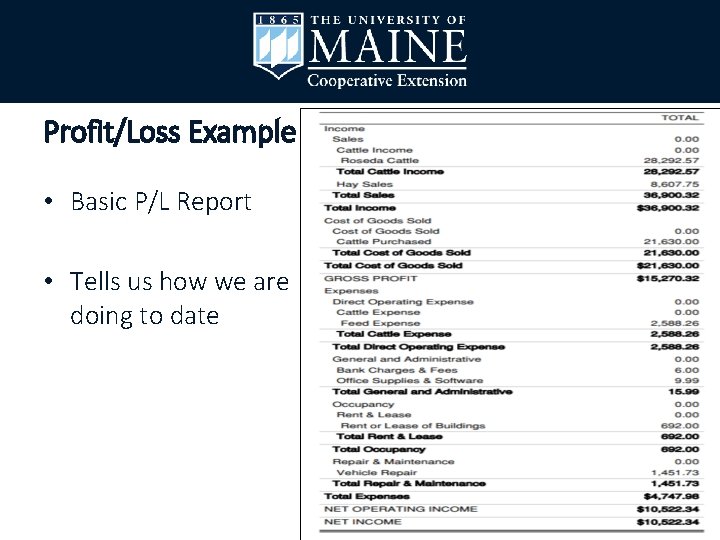 Profit/Loss Example • Basic P/L Report • Tells us how we are doing to