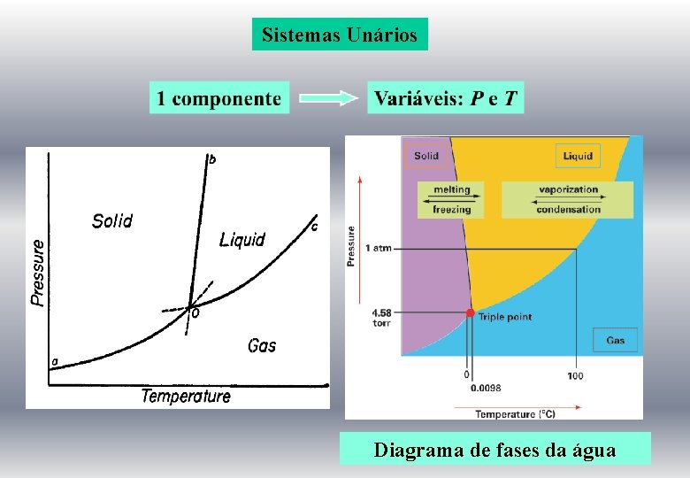 Sistemas Unários Diagrama de fases da água 