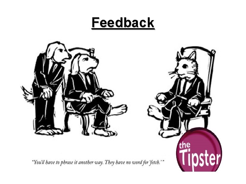 Feedback 