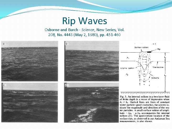 Rip Waves Osborne and Burch - Science, New Series, Vol. 208, No. 4443 (May