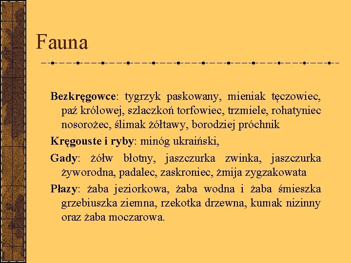 Fauna Bezkręgowce: tygrzyk paskowany, mieniak tęczowiec, paź królowej, szlaczkoń torfowiec, trzmiele, rohatyniec nosorożec, ślimak