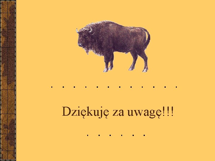 Dziękuję za uwagę!!! 