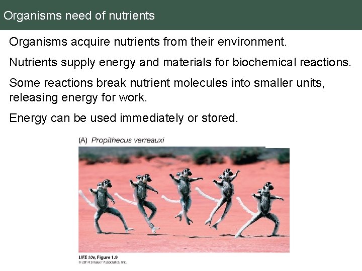 Organisms need of nutrients Organisms acquire nutrients from their environment. Nutrients supply energy and