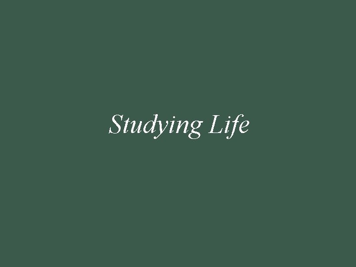 Studying Life 