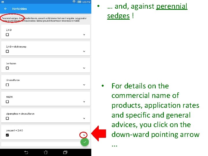 • … and, against perennial sedges ! • For details on the commercial • … and, against perennial sedges ! • For details on the commercial