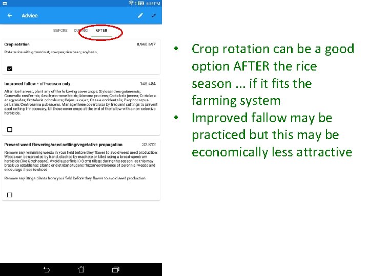  • Crop rotation can be a good option AFTER the rice season. .