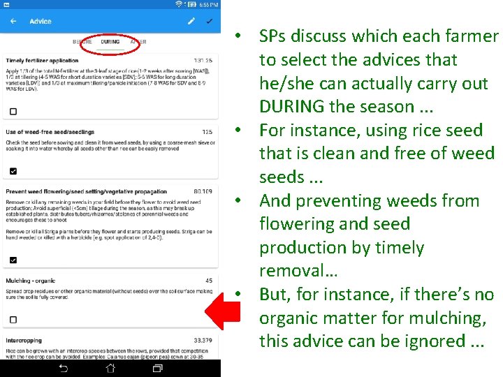  • SPs discuss which each farmer to select the advices that he/she can