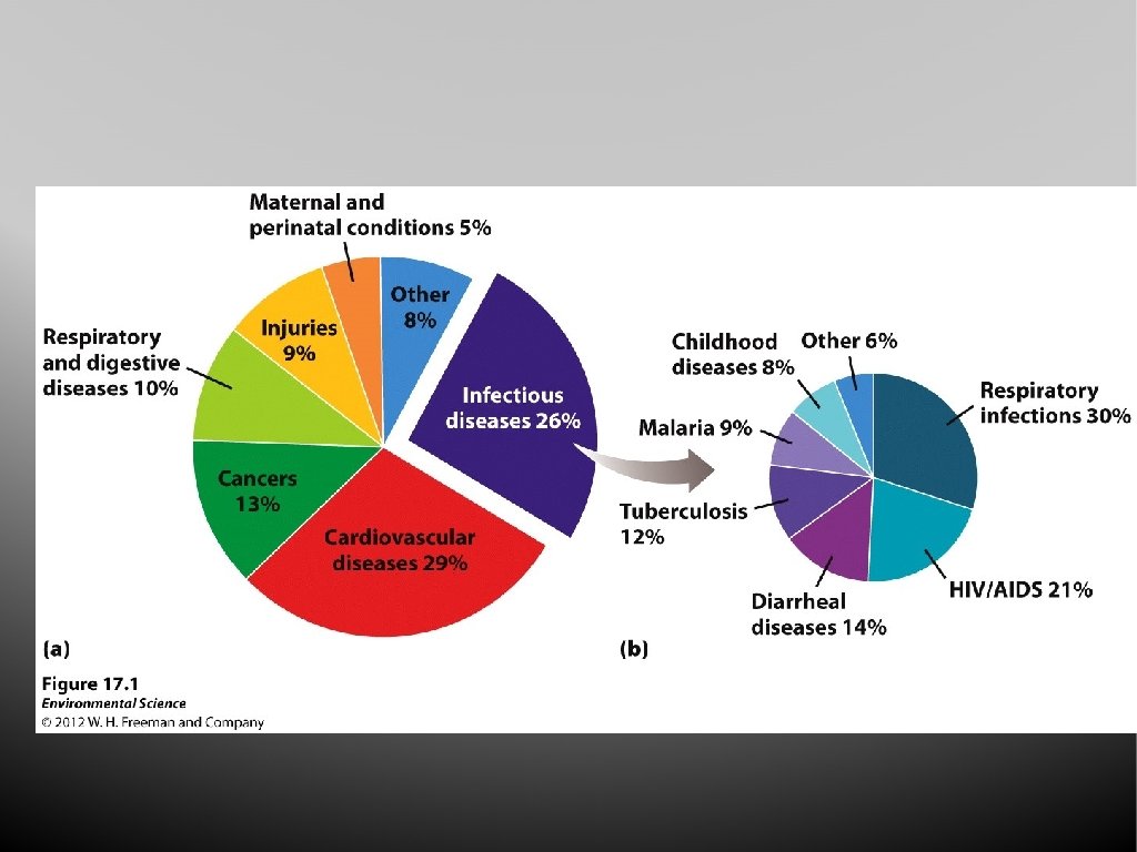 Chapter 17 Human Health and Environmental Risks Objectives