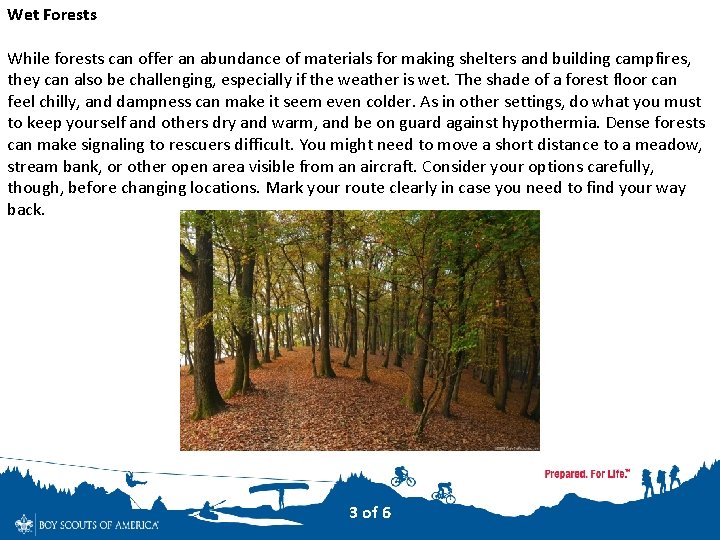 Wet Forests While forests can offer an abundance of materials for making shelters and