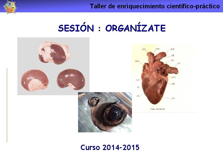 Taller de enriquecimiento científico-práctico SESIÓN : ORGANÍZATE Curso 2014 -2015 