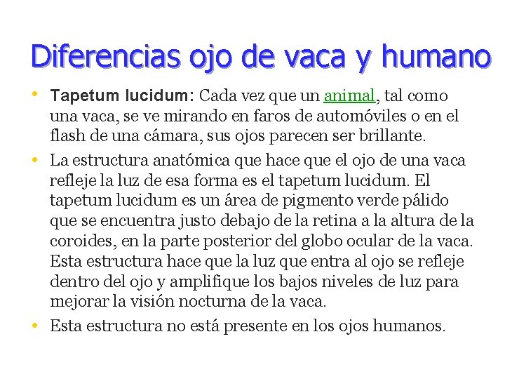 Diferencias ojo de vaca y humano • Tapetum lucidum: Cada vez que un animal,