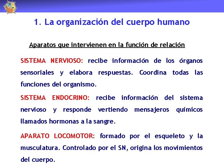 1. La organización del cuerpo humano Aparatos que intervienen en la función de relación