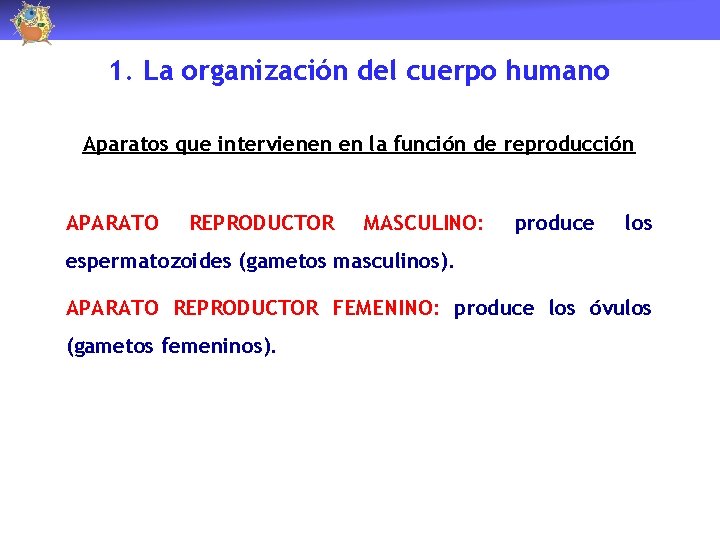 1. La organización del cuerpo humano Aparatos que intervienen en la función de reproducción