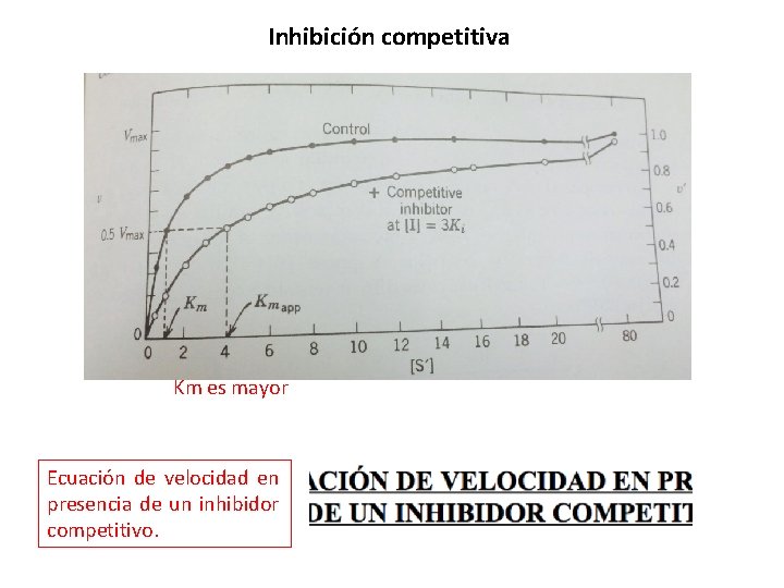 Inhibición competitiva Km es mayor Ecuación de velocidad en presencia de un inhibidor competitivo.