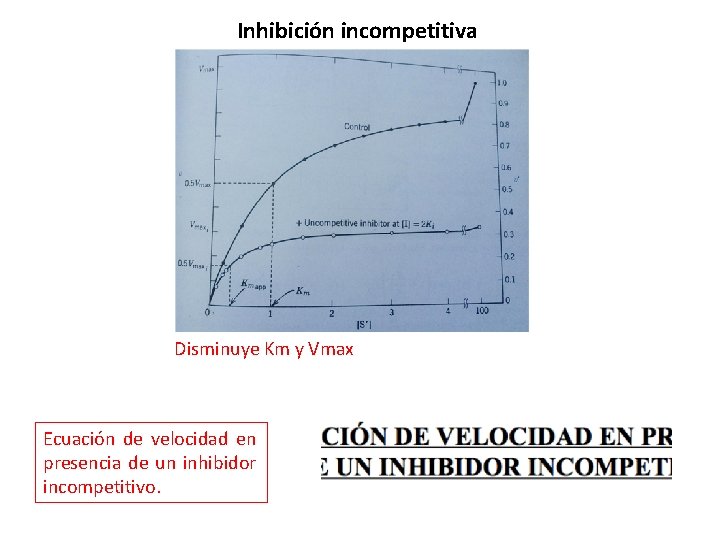 Inhibición incompetitiva Disminuye Km y Vmax Ecuación de velocidad en presencia de un inhibidor