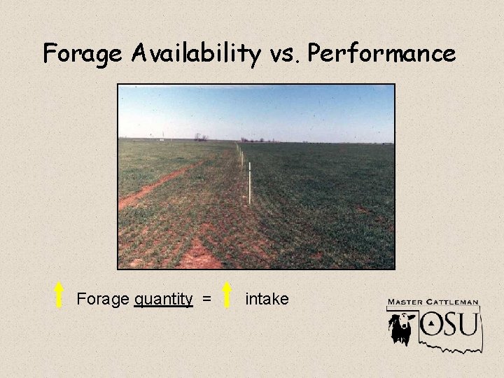 Forage Availability vs. Performance Forage quantity = intake 