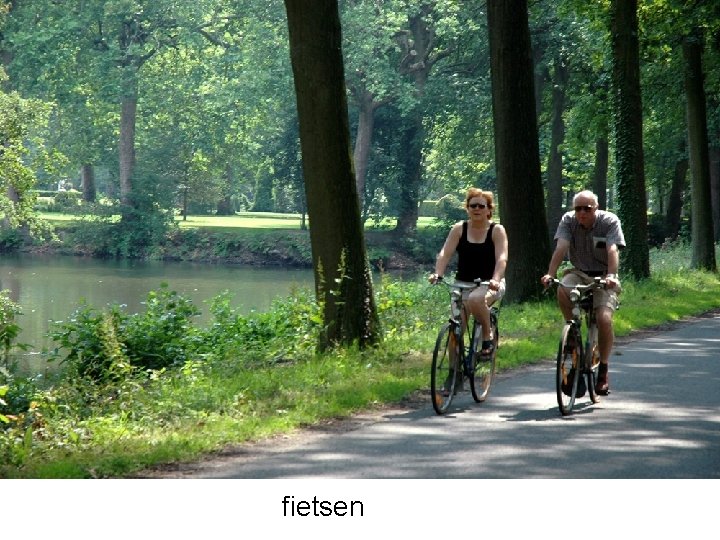 fietsen 