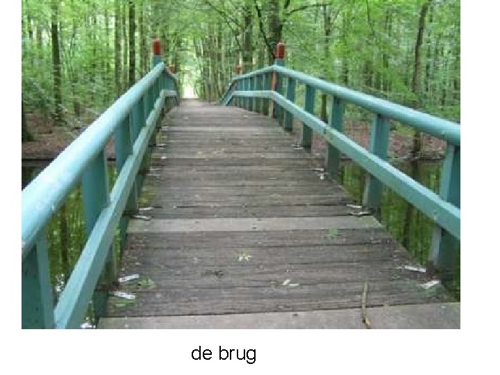 de brug 