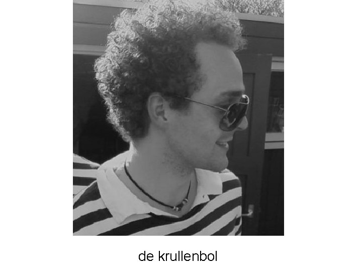 de krullenbol 